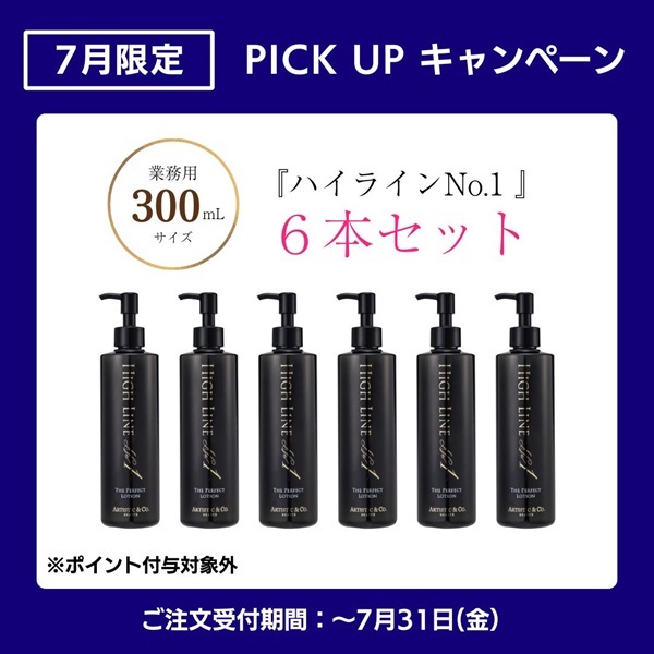 〈7月限定キャンペーン対象〉【6本セット】ハイライン No.1  300ｍL
